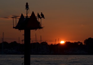 Scenic views of the Chesapeake Bay Scenic views of the Chesapeake Bay