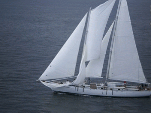 2008 Great Chesapeake Bay Schooner Race, Woodwind