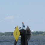 Ospreys in Annapolis, taken from Schooner Woodwind