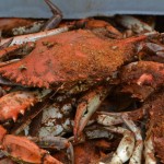 Sailing to Cantler's to enjoy a Maryland Crabfeast