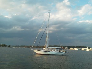 Golden glow of the sun as we sailed out of the Severn River. Golden glow of the sun as we sailed out of the Severn River.
